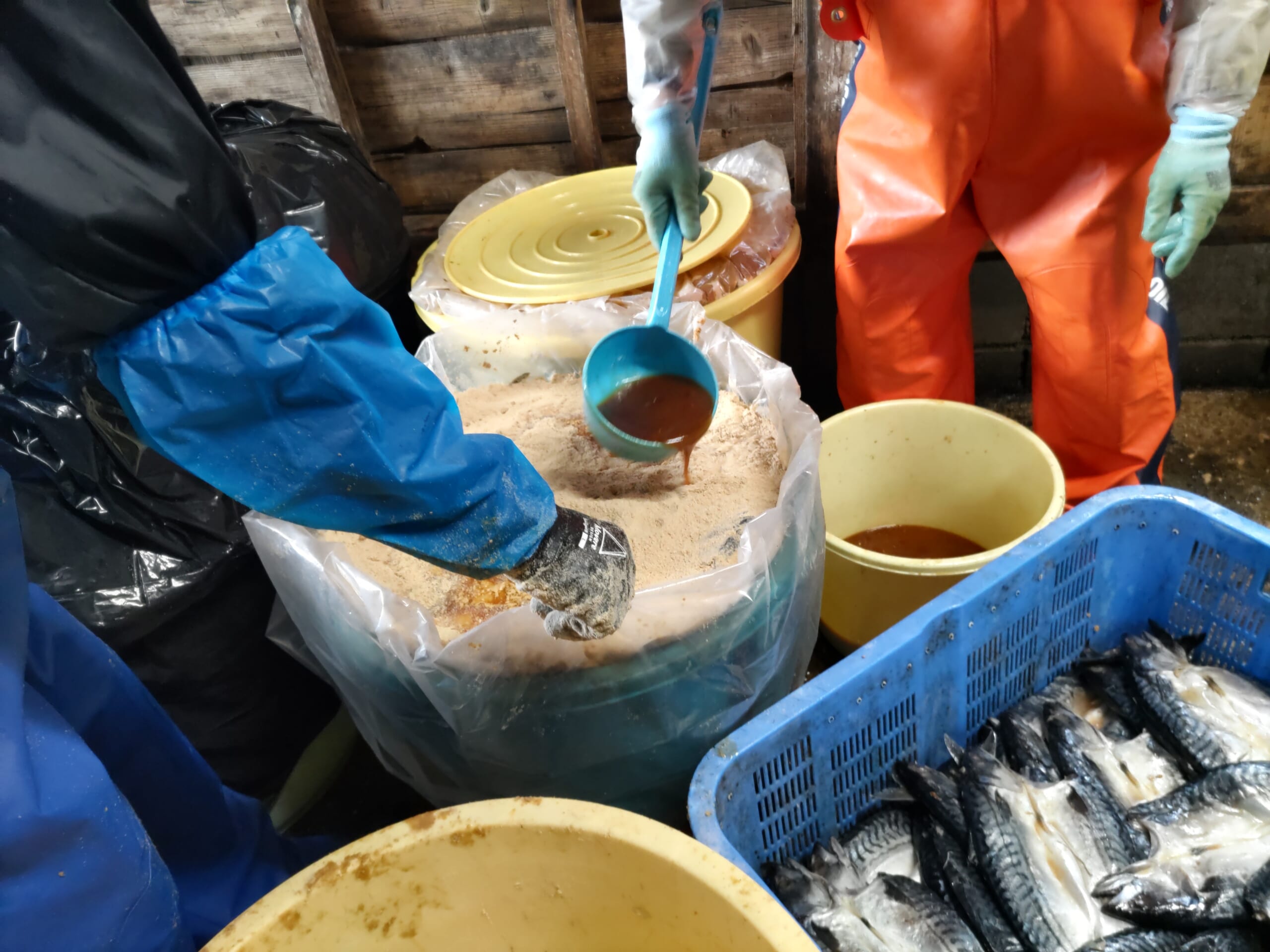 美浜のへしこ製造工程　本漬けタレをかける画像