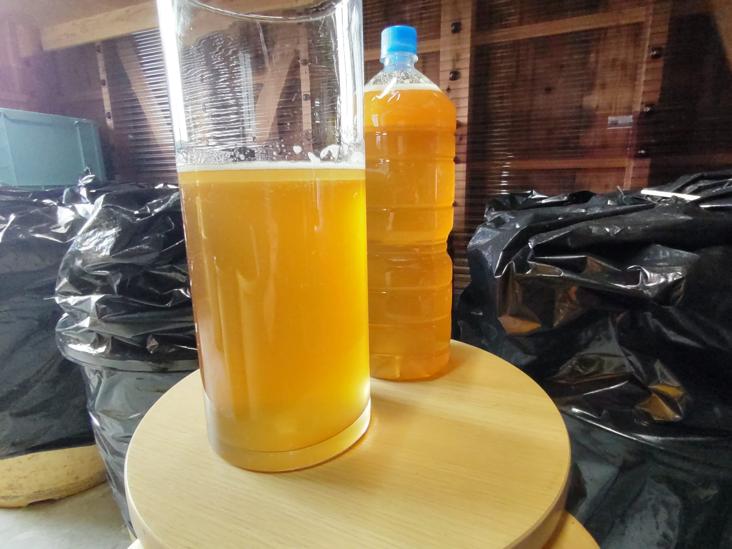 美浜のへしこ製造工程　シエ（魚醤）の画像